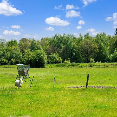 A Lovely Cottage On The Dwingelderveld Nature Park Beilen ภายนอก รูปภาพ