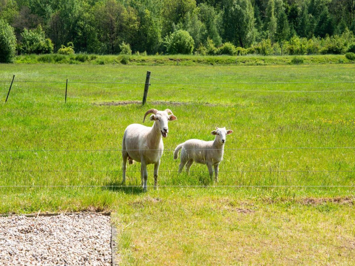 A Lovely Cottage On The Dwingelderveld Nature Park Beilen ภายนอก รูปภาพ