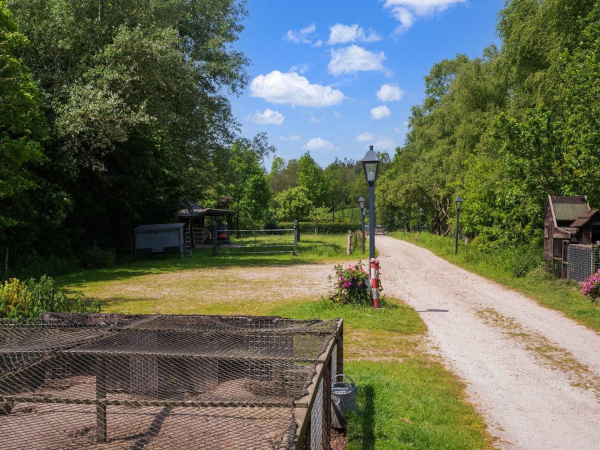 A Lovely Cottage On The Dwingelderveld Nature Park Beilen ภายนอก รูปภาพ