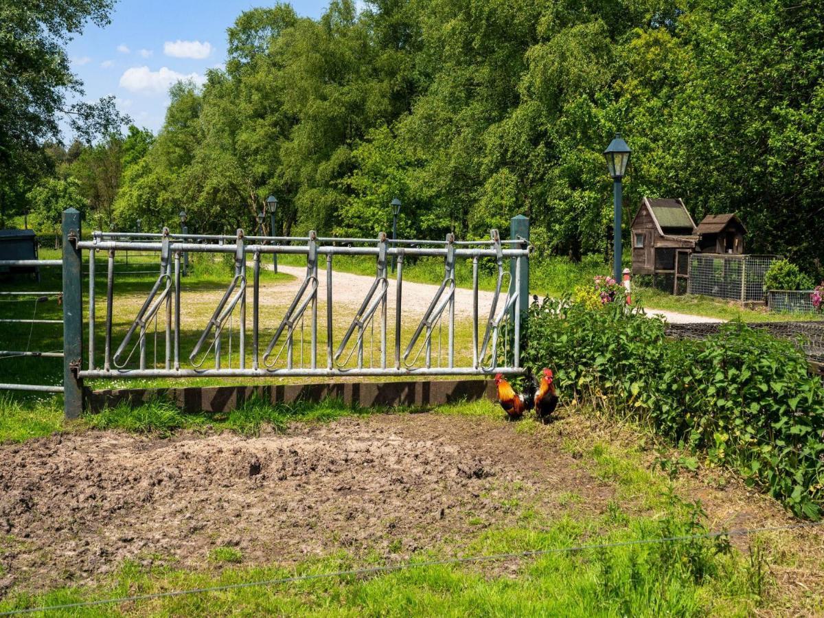 A Lovely Cottage On The Dwingelderveld Nature Park Beilen ภายนอก รูปภาพ